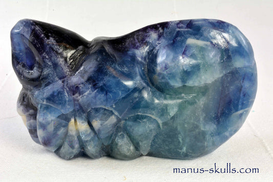 Rainbow Fluorite Dragon