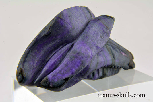Sugilite Dragon
