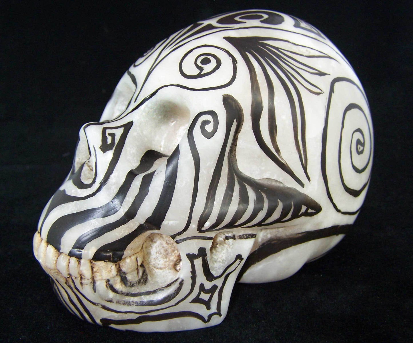 Painted Alabaster Skull Maori