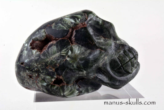 Seraphinite Skull