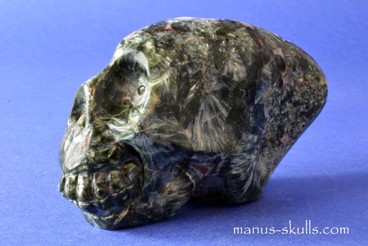 Seraphinite Skull