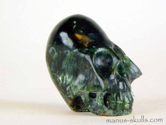 Seraphinite Skull