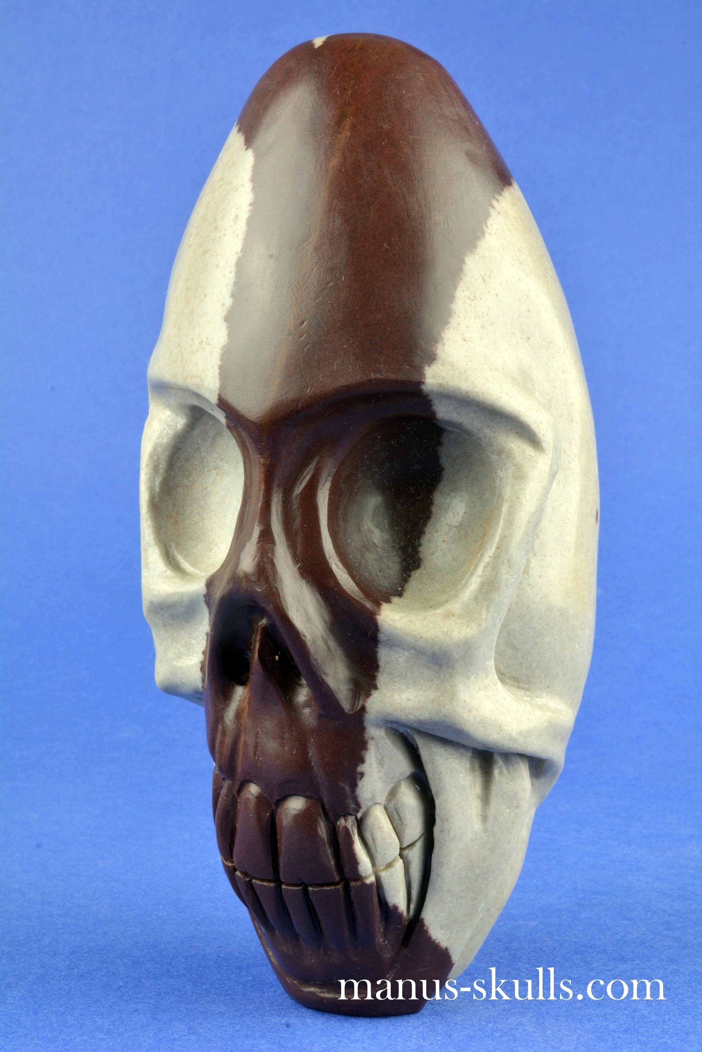 Shiva Lingam Skull