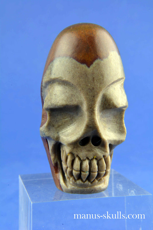 Shiva Lingam Skull