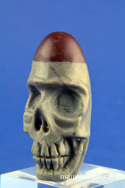 Shiva Lingam Skull