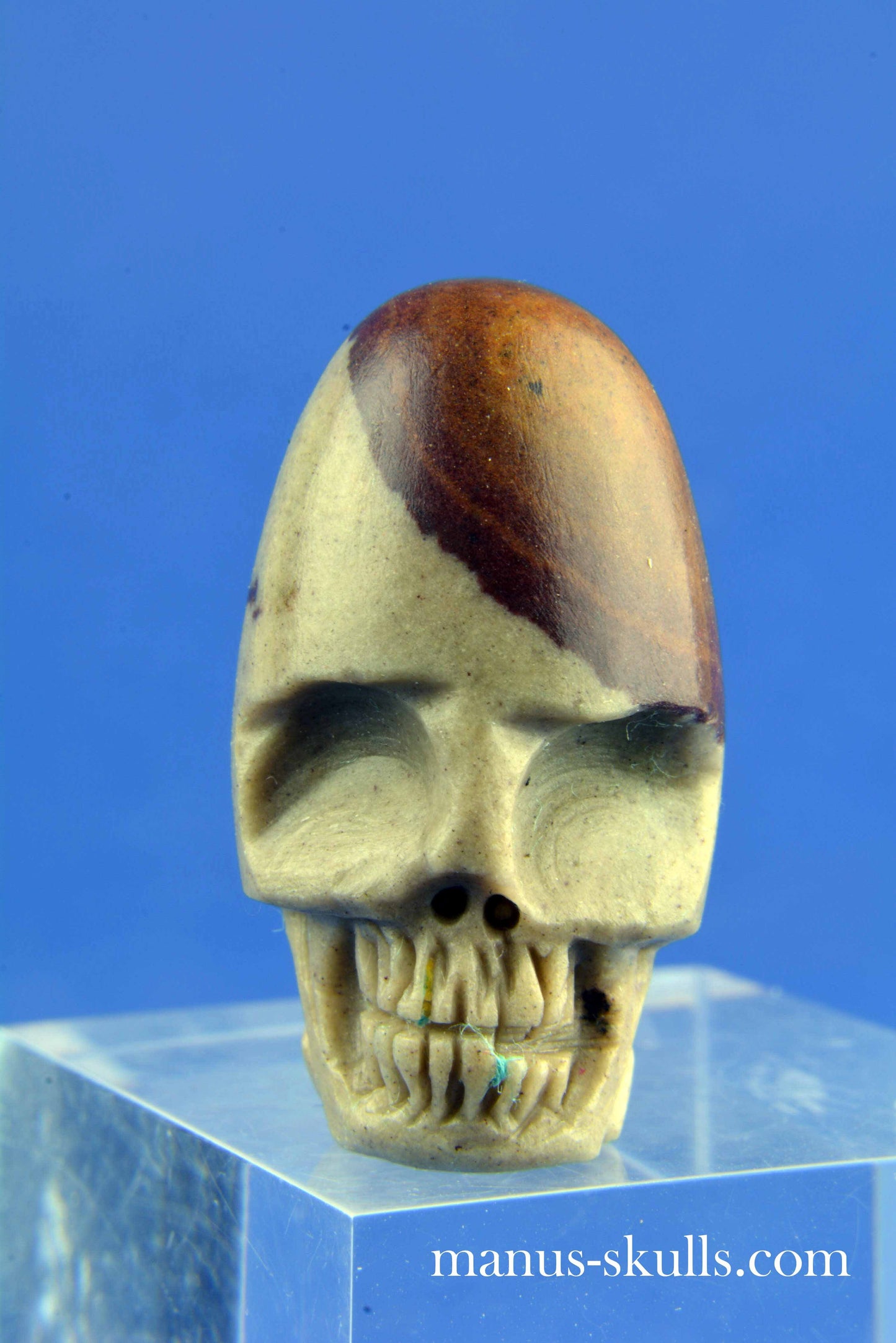 Shiva Lingam Skull