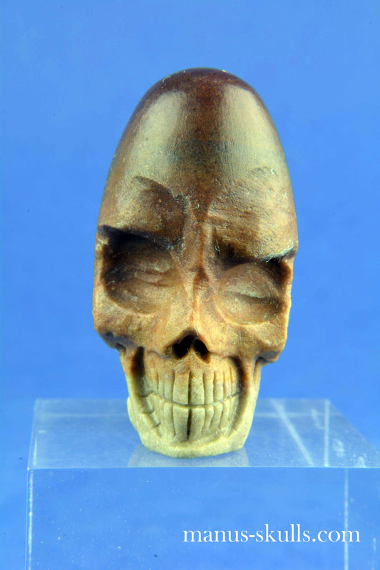 Shiva Lingam Skull