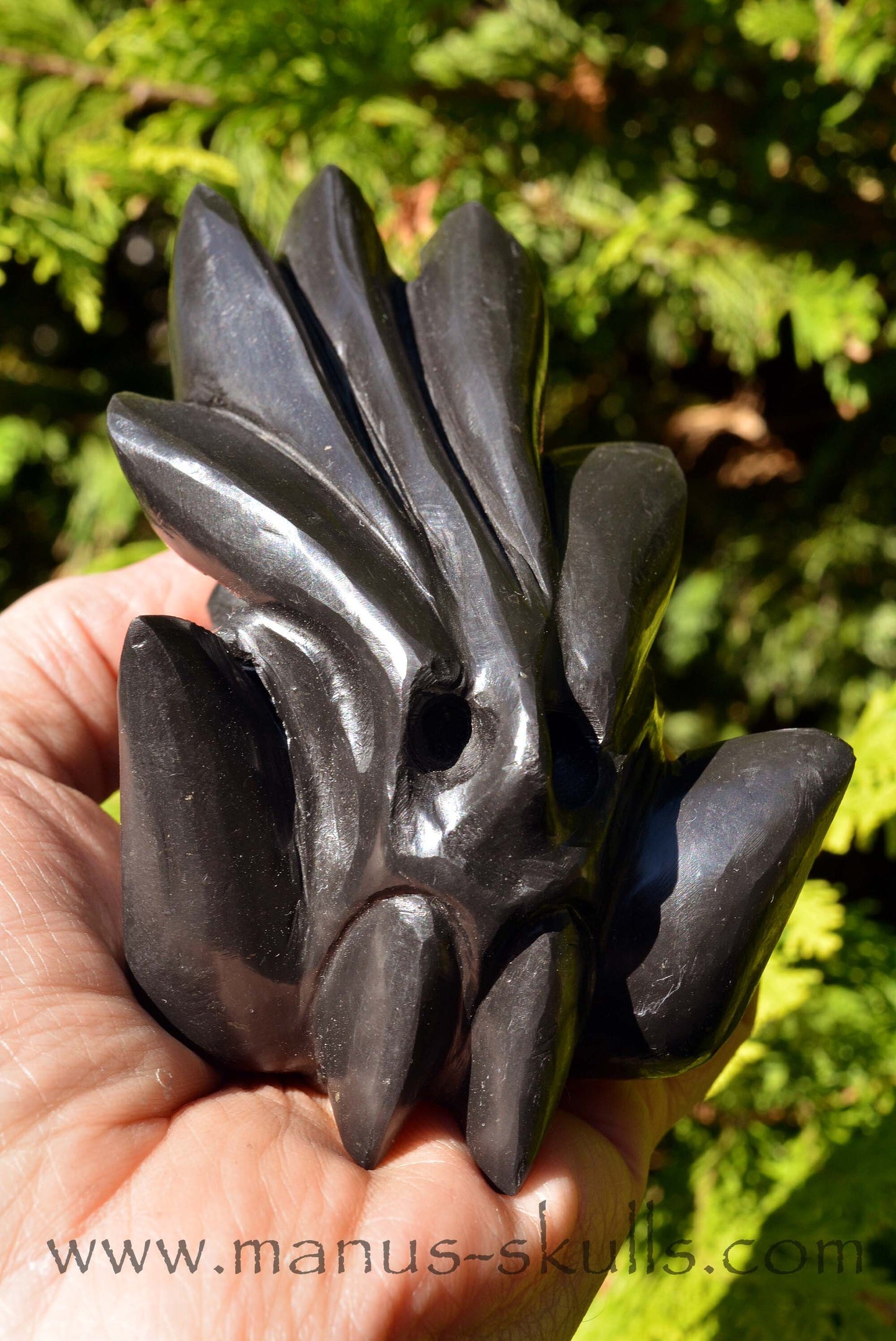 Shungite Dragon