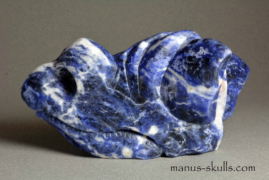 Sodalite Dragon