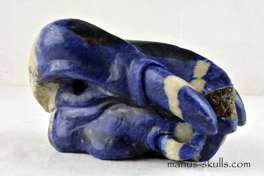 Sodalite Orgone Dragon