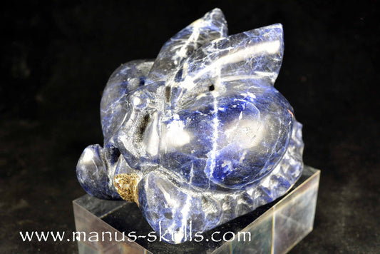 Sodalite Orgonite Dragon