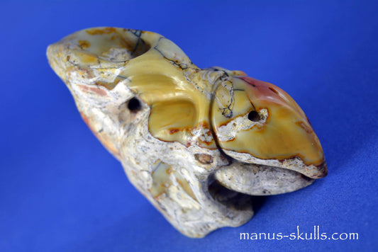 Litophyse Thunderegg Bird Skull