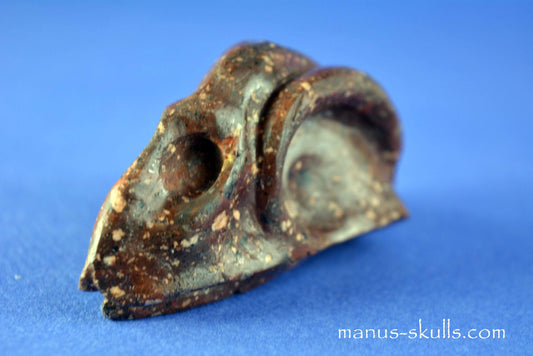 Thunderegg Litophyse Skull