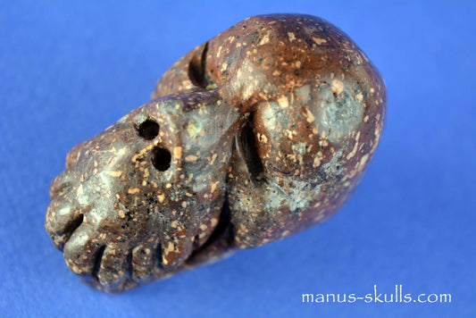 Thunderegg Litophyse Skull