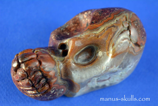 Thunderegg Litophyse Skull