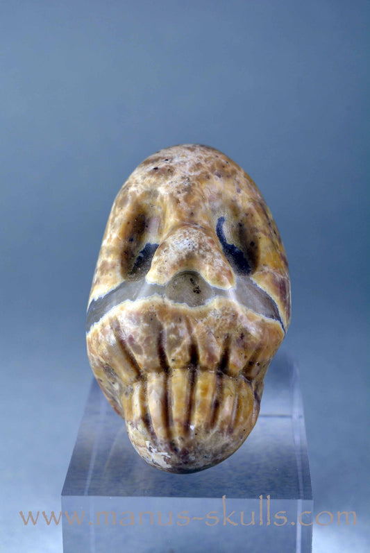 TNT bed Lithophyse Thunderegg Skull