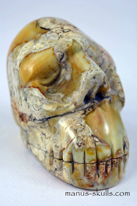 Thunderegg Agate Skull