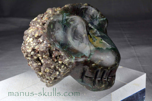 Thunderegg Skull