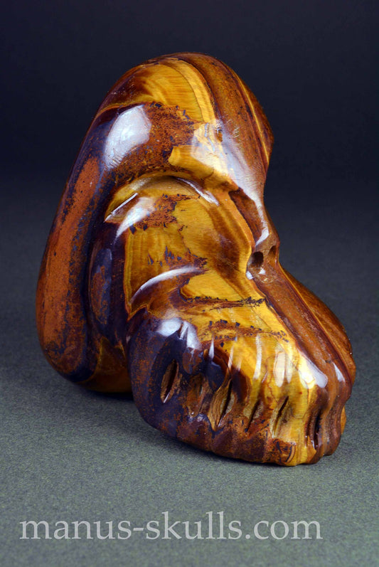 Tiger Eye Skull