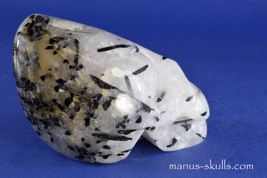 Tourmaline in Quartz Skull