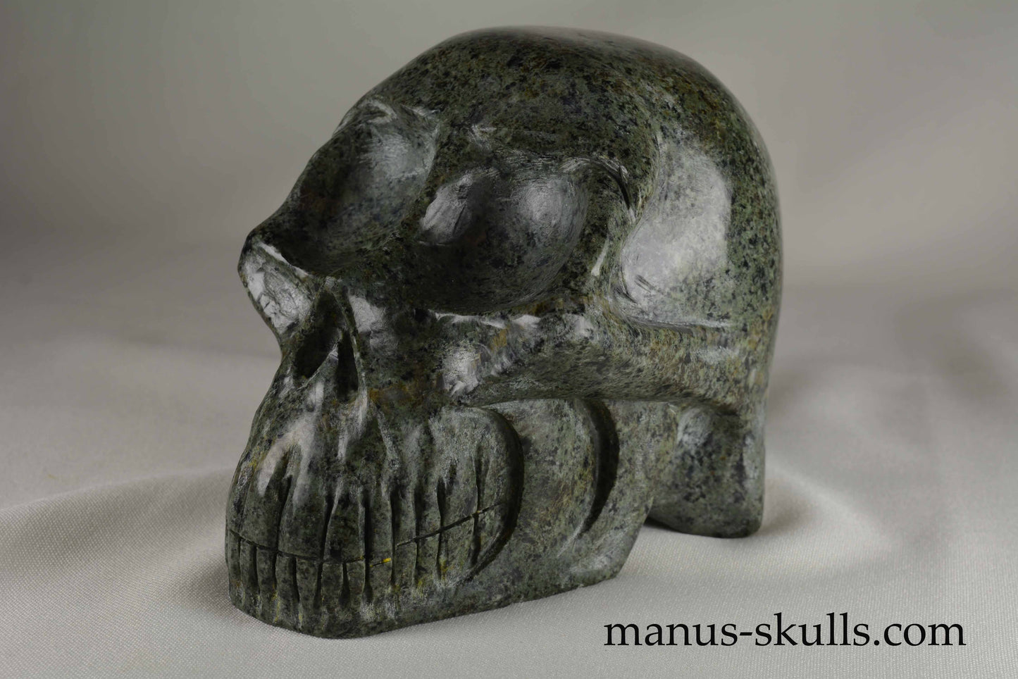 Unspotted Preseli Bluestone Skull