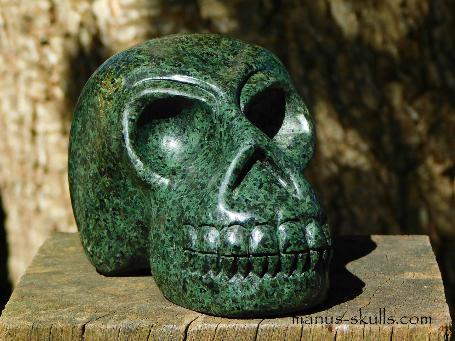 Unspotted Preseli Bluestone Skull