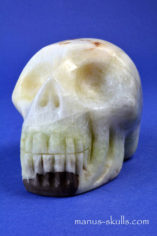 Visocalcite Skull