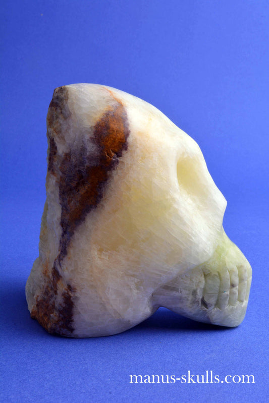 Visokalcite Skull