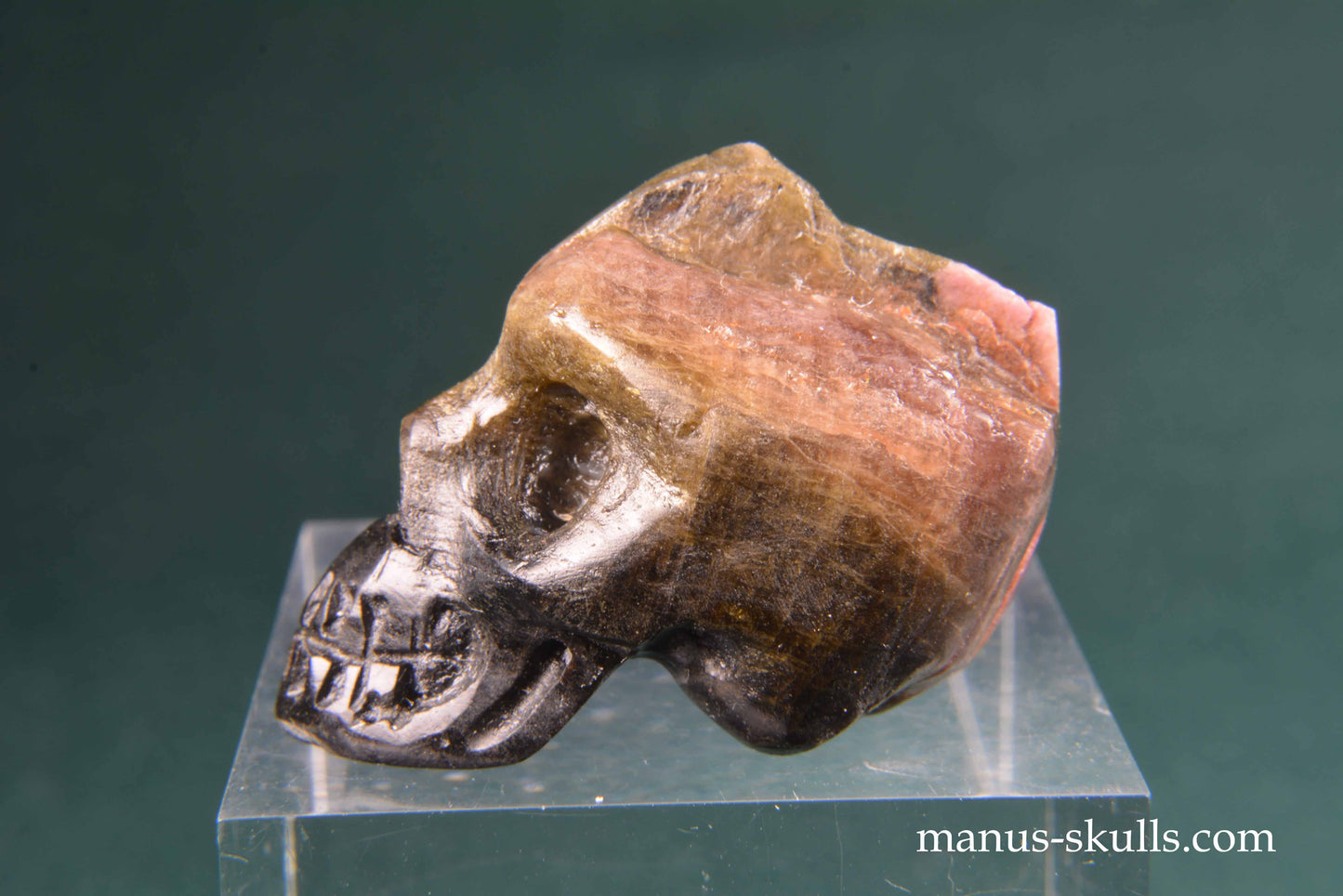 Watermelon Tourmaline Skull