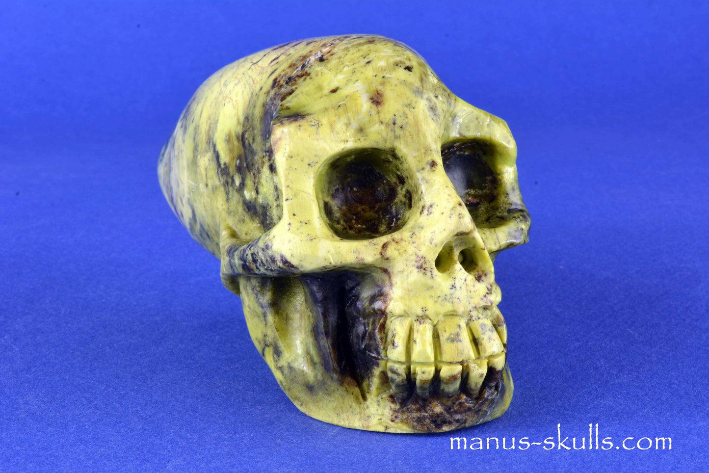 Yellow Turquois Skull