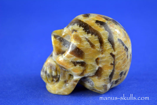 Zebradorite Skull