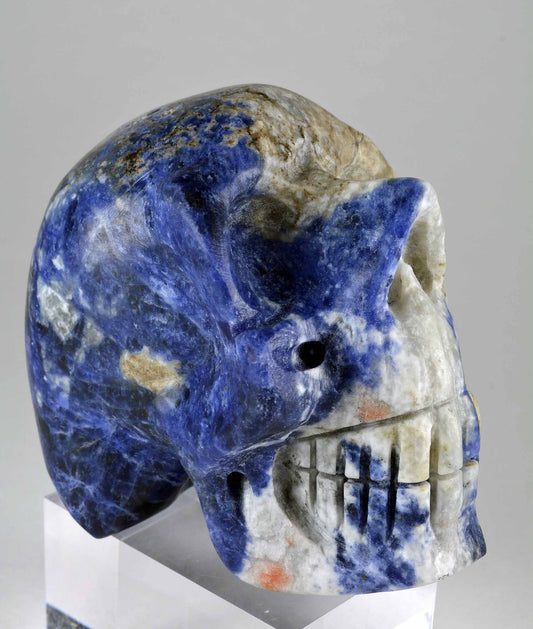 Sodalite Skull