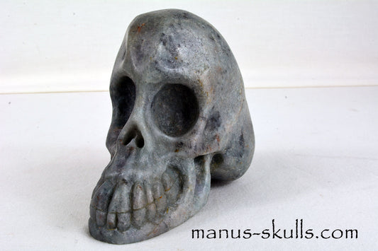 Trolleite Skull