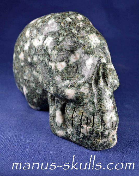 Preseli Bluestone Skull