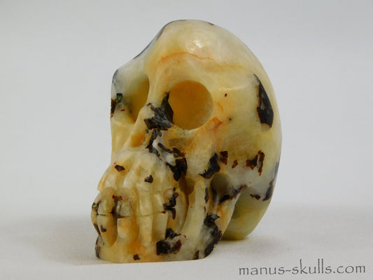 Cryolite Skull