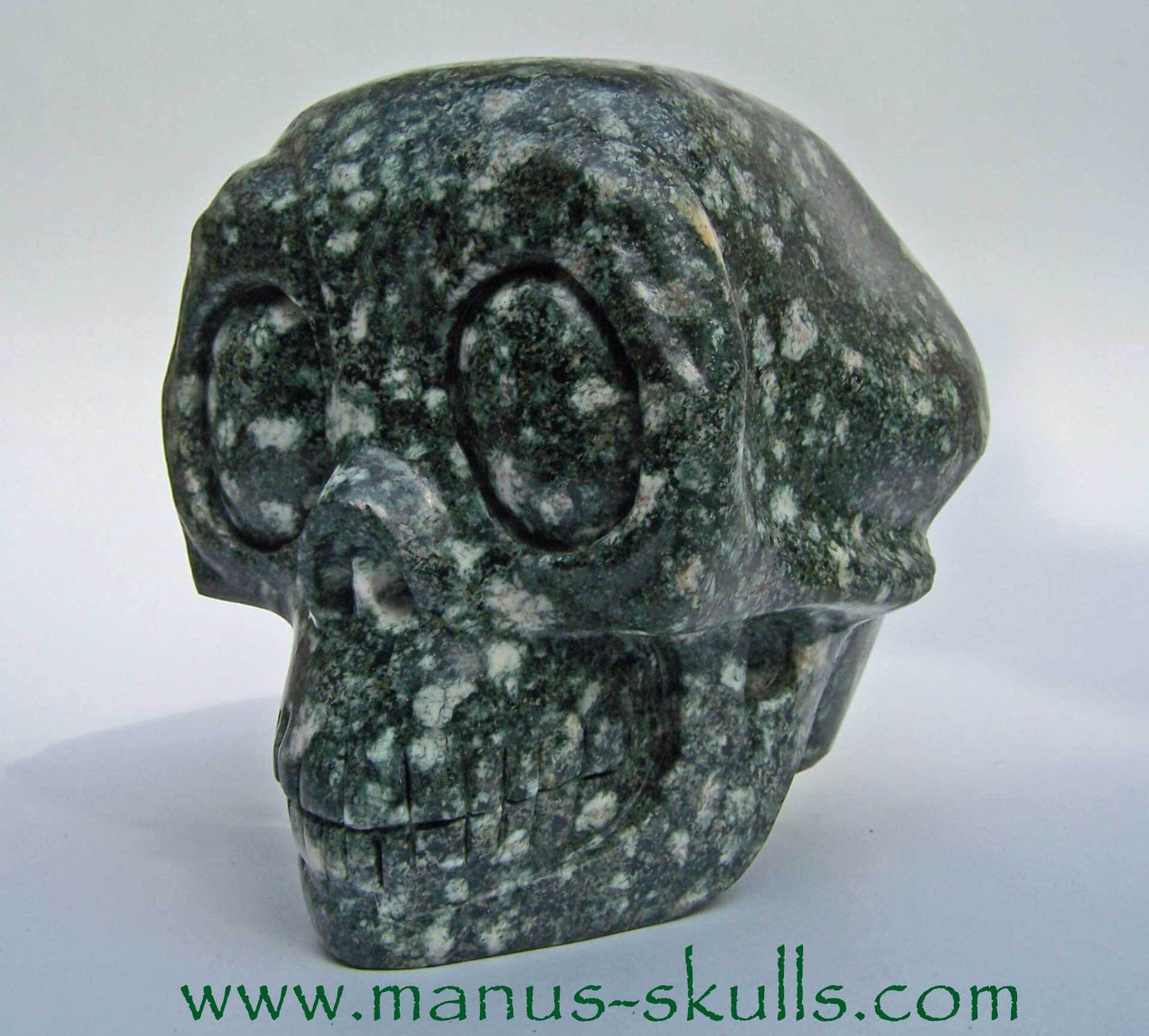 Preseli Bluestone Skull