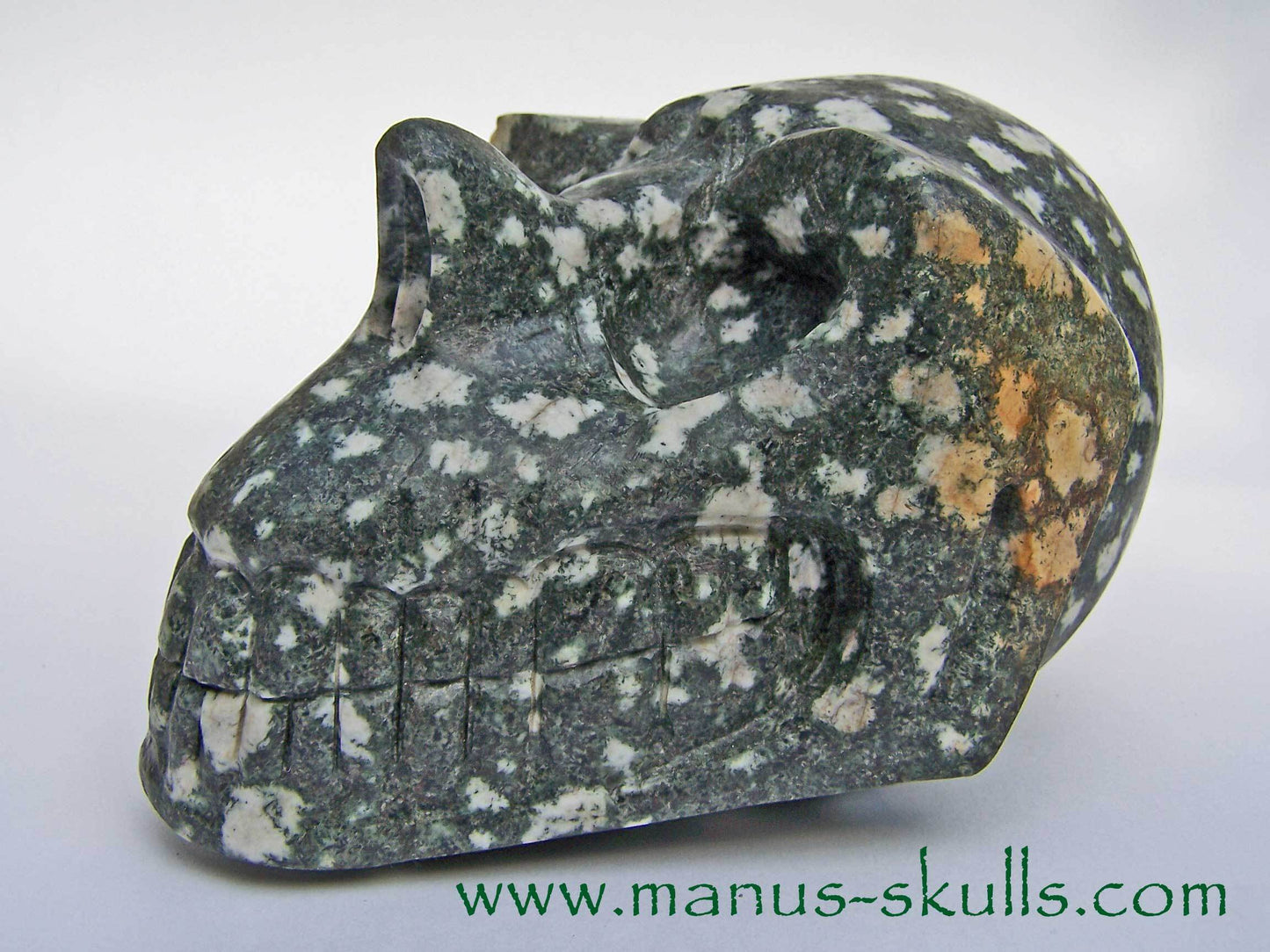 Preseli Bluestone Skull