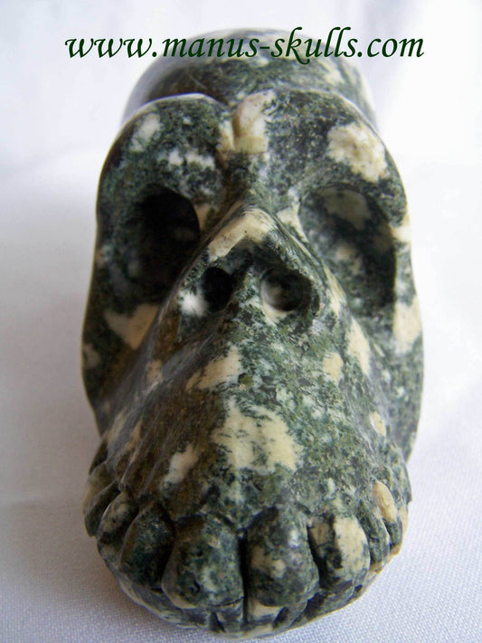 Preseli Bluestone Skull