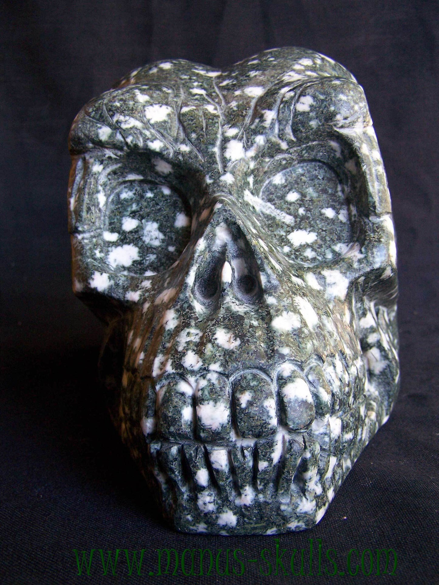 Preseli Bluestone Skull